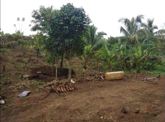 Farm Lot For sale located @Asis Mendez ,Cavite boundary ng Indang at Mendez 3754sqm