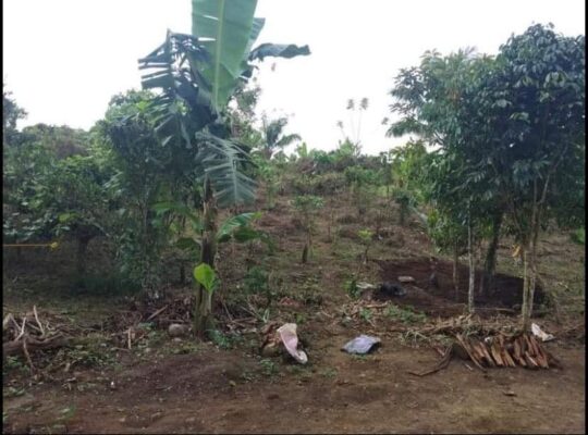 Farm Lot For sale located @Asis Mendez ,Cavite boundary ng Indang at Mendez 3754sqm