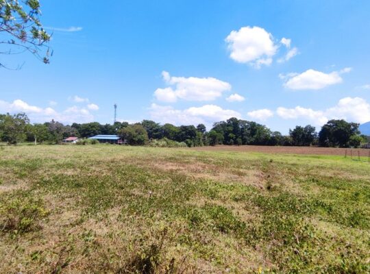 FARM LOT IN SANTO TOMAS