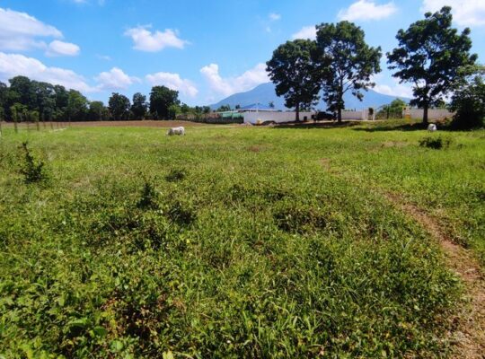 FARM LOT IN SANTO TOMAS