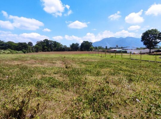 Lot in sto tomas batangas