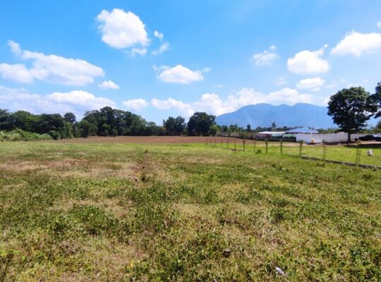 Lot in sto tomas batangas