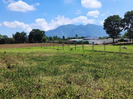 FARM LOT IN SANTO TOMAS