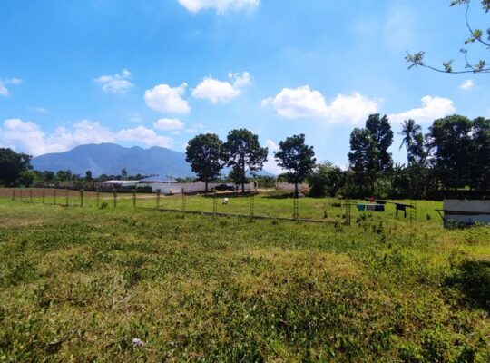 Lot in sto tomas batangas