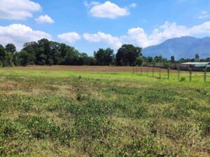 Santo Tomas Batangas FARM LOT for Sale