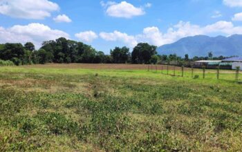 Santo Tomas Batangas FARM LOT for Sale