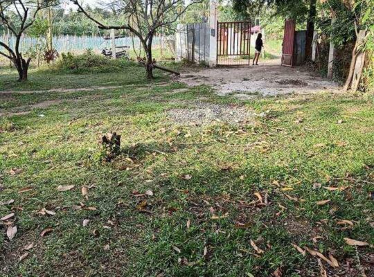 Mini Farm Lot in Quezon