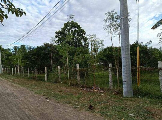 Mini Farm Lot in Quezon