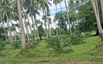 Farm Lot in Tiaong