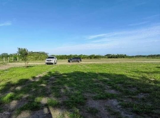 Murang Farm lot sa Tiaong Quezon