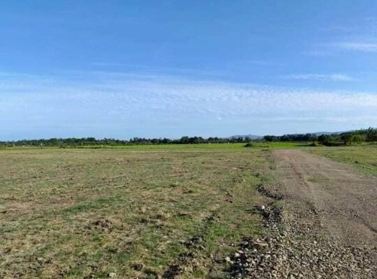 Murang Farm lot sa Tiaong Quezon