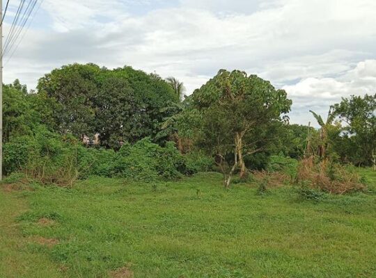 Farm Lot along Semented Road