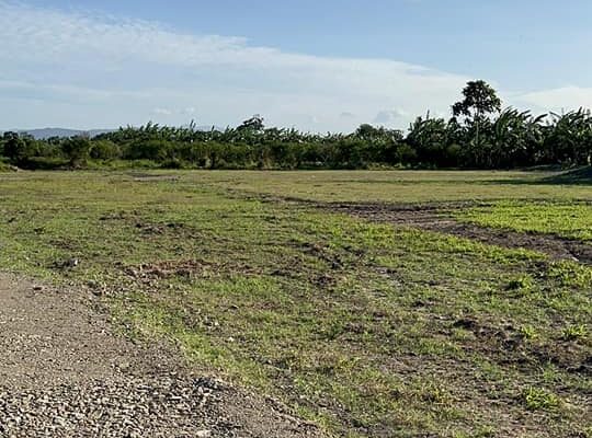 3,300sqm Farm Lot sa Tiaong Quezon