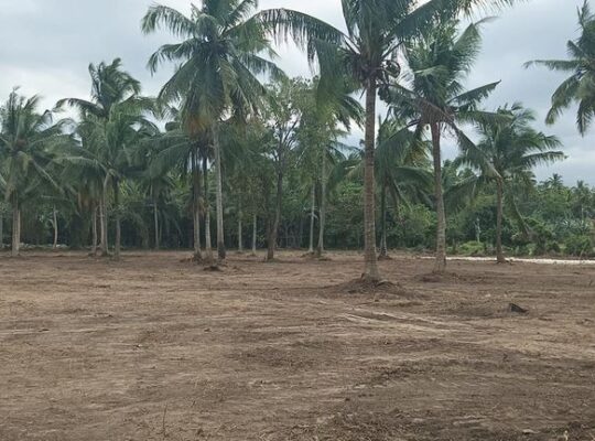 Farm Lot 50 meters from Hiway