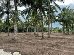 Farm Lot near Hiway