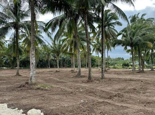 Farm Lot near Hiway