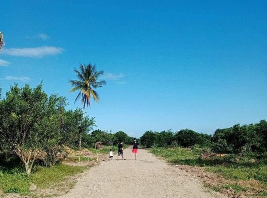 Murang Farm Lot sa Tiaong Quezon