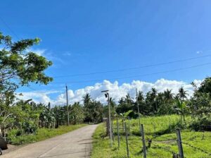 Farm Lot in San Antonio Quezon