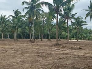 Farm Lot 50 meters from Hiway