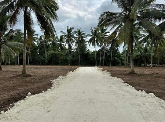 Farm Lot near Hiway