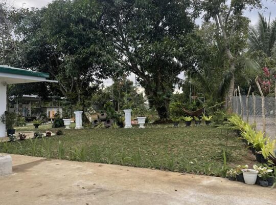 For SALE LOT ONLY 5000SQM TITLE WITH TRANSIENT HOUSE & Fruit Bearing Trees SILANG CAVITE