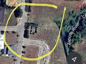 LOT FOR SALE 277SQM AT AMORE PORTIFINO DAANG HARI LAS PIÑAS CITY