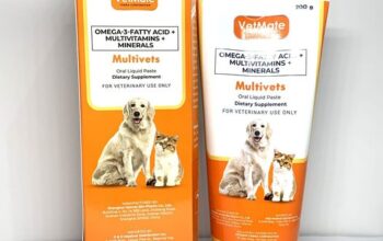 Vetmate Multivets 200g Oral Liquid Paste for Dogs and Cats