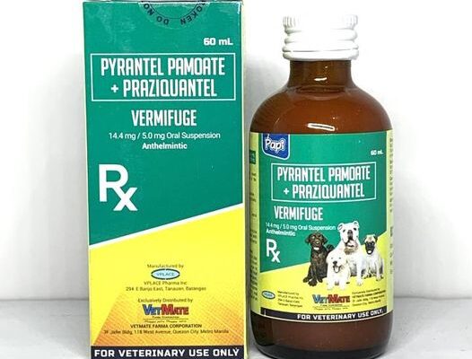 Papi Vermifuge Suspension 60ml for Pets / Vitamins for dogs cats