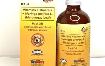 PAPI OB 120ML FOR LACTATING PETS / FOR PREGNANT DOGS & CATS