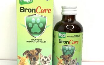 PAPI BRONCURE FOR RESPIRATORY STRENGHT AND TREATMENT 60ML