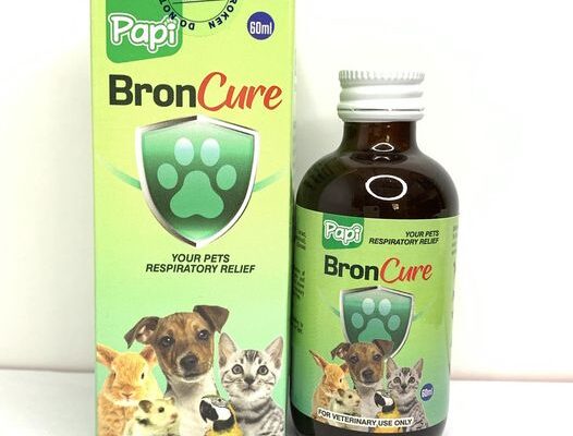 PAPI BRONCURE FOR RESPIRATORY STRENGHT AND TREATMENT 60ML