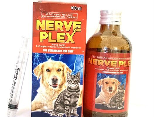 NERVE PLEX 120 ML VITAMIN SUPPLEMENT FOR PETS VITAMINS NG ASO at PUSA / PARVO / DISTEMPER