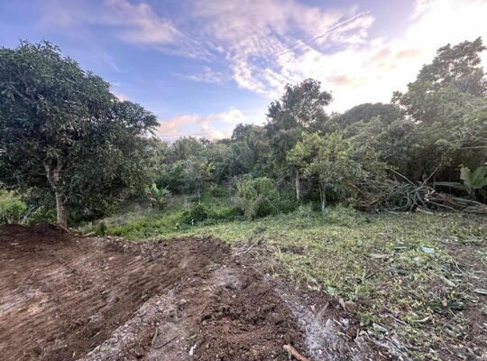 LOT FOR SALE 5001SQM TITLE▪️NEAR TAGAYTAY TAGAYTAY WEATHER GOOD LOCATION SILANG CAVITE