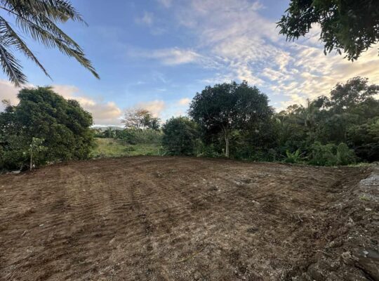 LOT FOR SALE 5001SQM TITLE▪️NEAR TAGAYTAY TAGAYTAY WEATHER GOOD LOCATION SILANG CAVITE