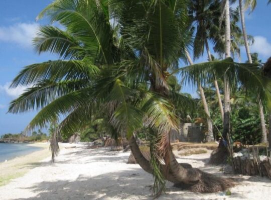 Beach Lot For Sale in San Jose, Romblon