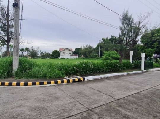 Corner Lot For Sale along Main Road of Metro South Village Gentri Cavite