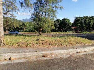 Corner Lot For Sale in Glenwood Park Near Turbina Calamba