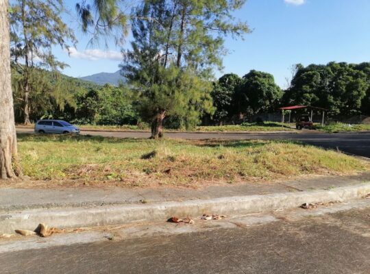 Corner Lot For Sale in Glenwood Park Near Turbina Calamba