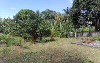 Titled Farm Lot For Sale in Pangil Amadeo