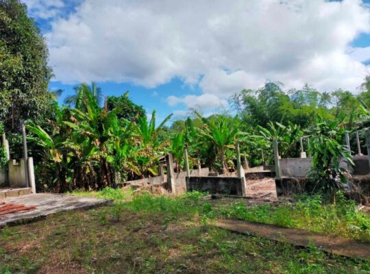 Titled Farm Lot For Sale in Pangil Amadeo