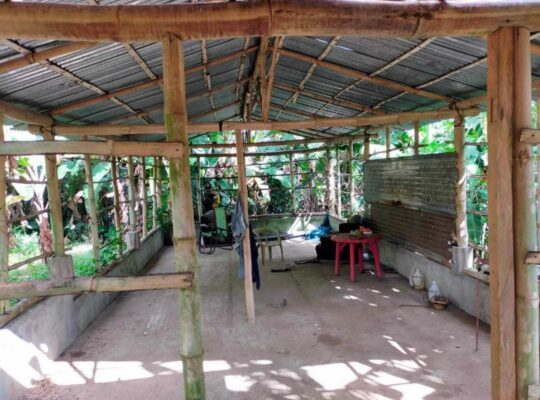 Titled Farm Lot For Sale in Pangil Amadeo