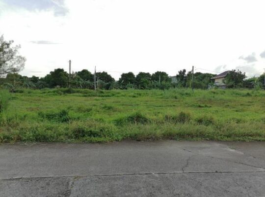 Lot for Sale in Metro South Village General Trias Cavite