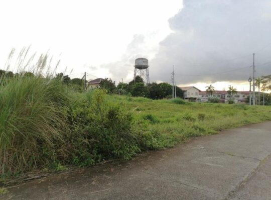 Lot for Sale in Metro South Village General Trias Cavite