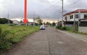 Lot for Sale in Metro South Village General Trias Cavite