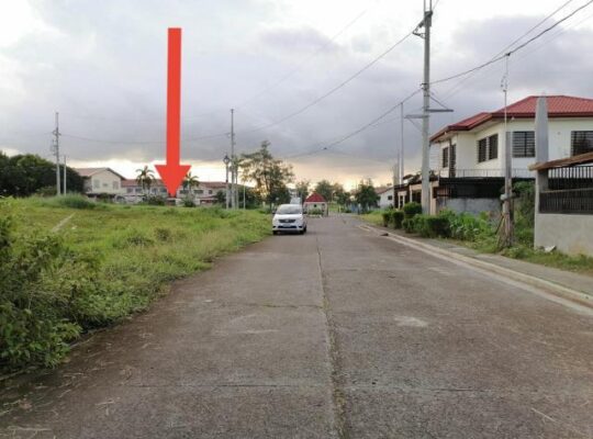 Lot for Sale in Metro South Village General Trias Cavite