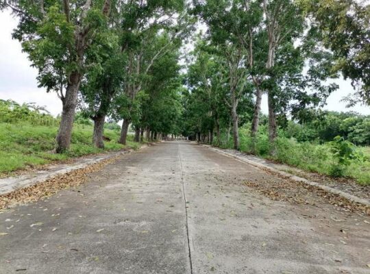 Lot for Sale in Sherwood Hills Trece Martires Cavite