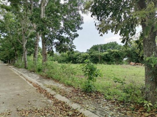 Lot for Sale in Sherwood Hills Trece Martires Cavite