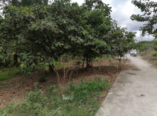 Lot For Sale near Tagaytay Alfonso Bypass Road