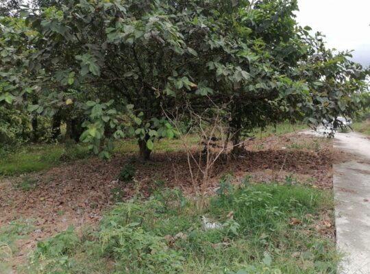 Lot For Sale near Tagaytay Alfonso Bypass Road