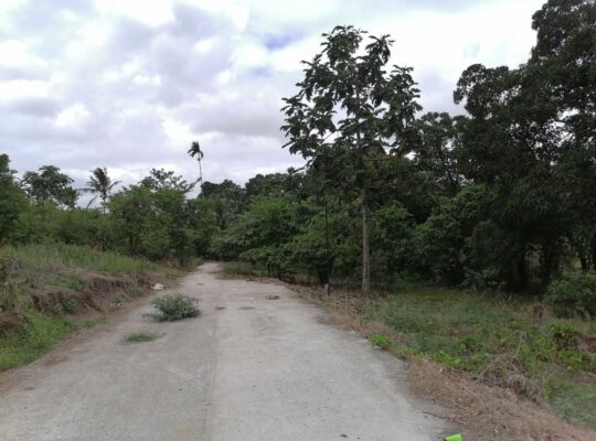 Lot For Sale near Tagaytay Alfonso Bypass Road